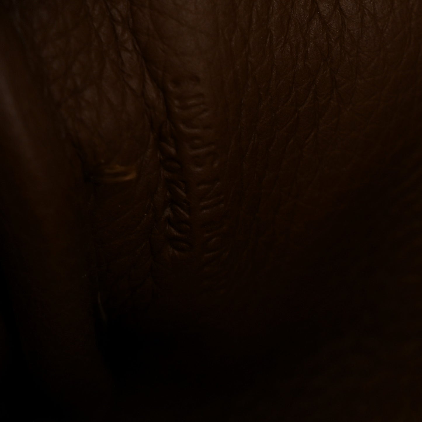 Soft Grained Calfskin Amazona 23 Cacao