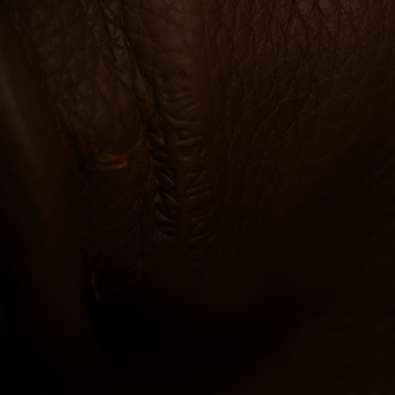 Loewe Soft Grained Calfskin Amazona 23 Cacao 7 of 11