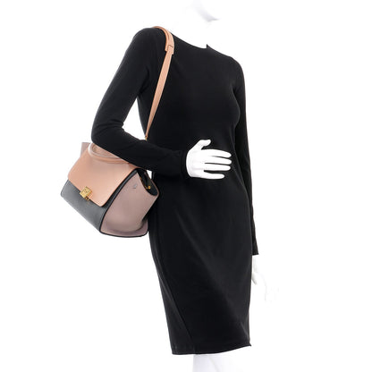Celine Smooth Calfskin Small Trapeze Nude 2 of 12