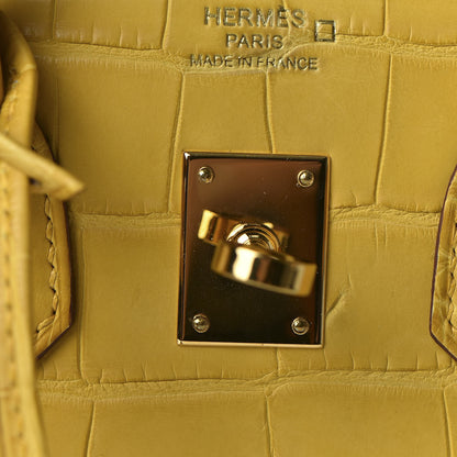 Hermes Matte Alligator Birkin 25 Jaune Ambre 23 of 33
