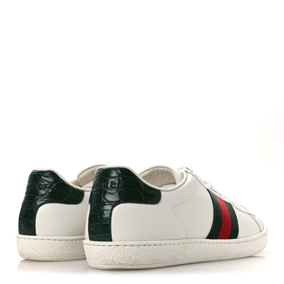 Gucci Calfskin Crocodile Web Womens Ace Sneakers 39 White Green 5 of 13
