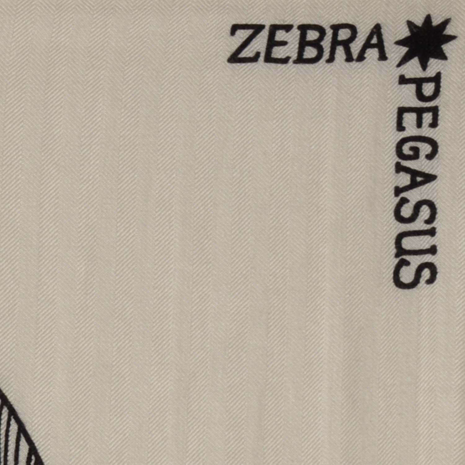 Hermes Cashmere Silk Zebra Pegasus Shawl 140 White Black Naturel 5 of 8