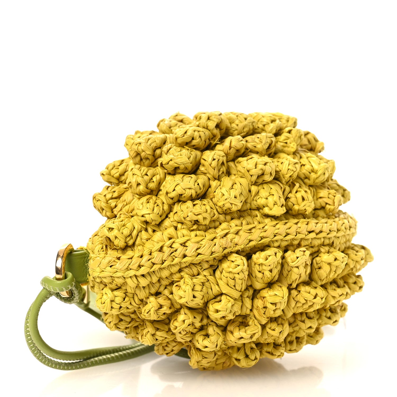 Loewe Raffia Calfskin Paula's Ibiza Lemon Coin Case Yellow 8 of 12