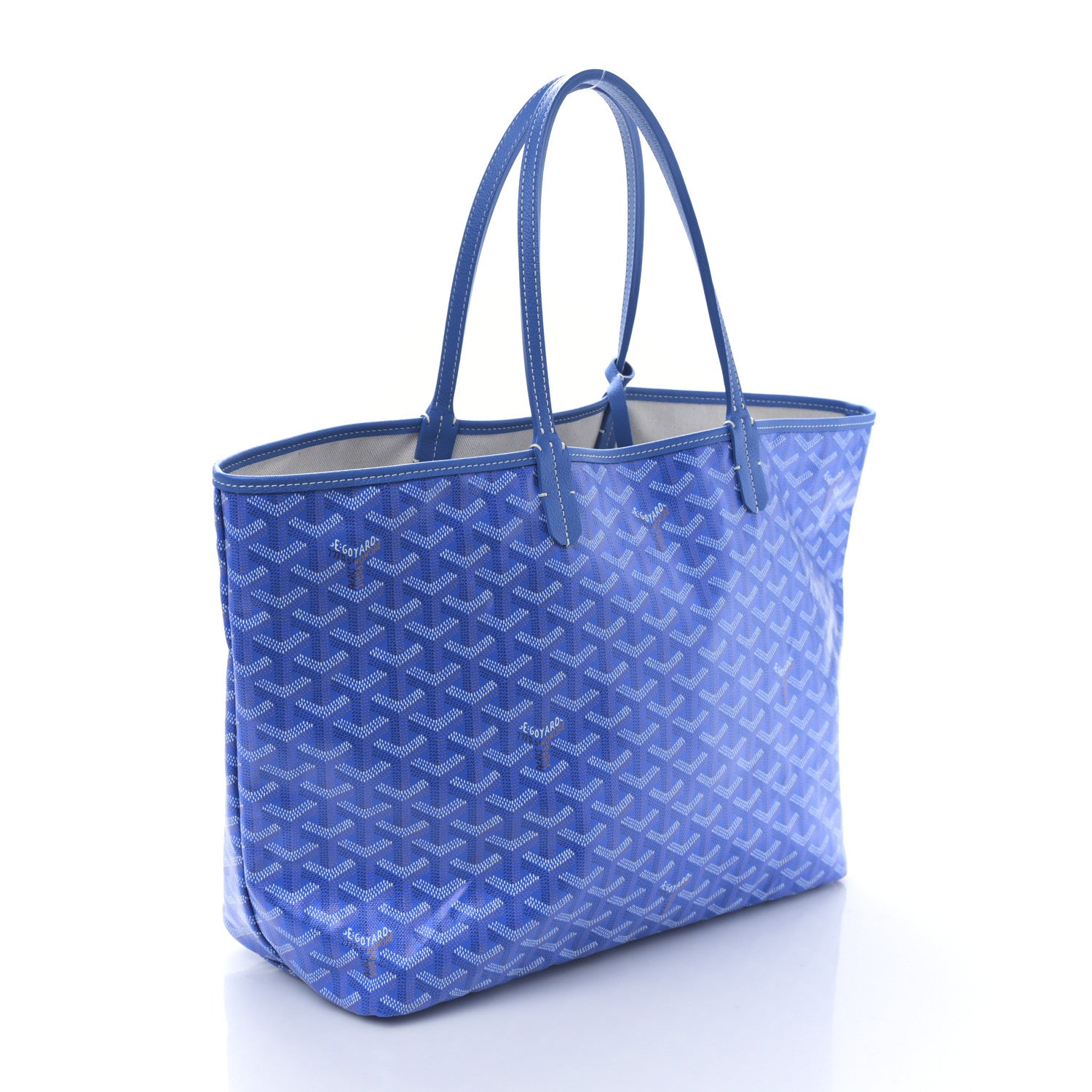 Goyard Goyardine Saint Louis PM Sky Blue 4 of 9
