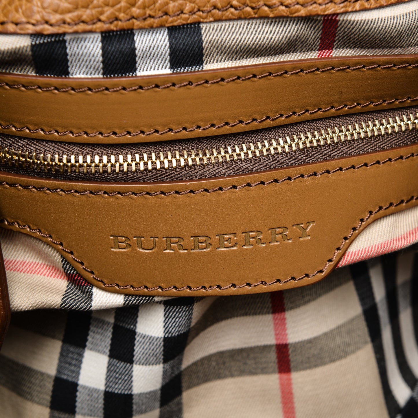 Grainy Calfskin Willenmore Hobo Camel