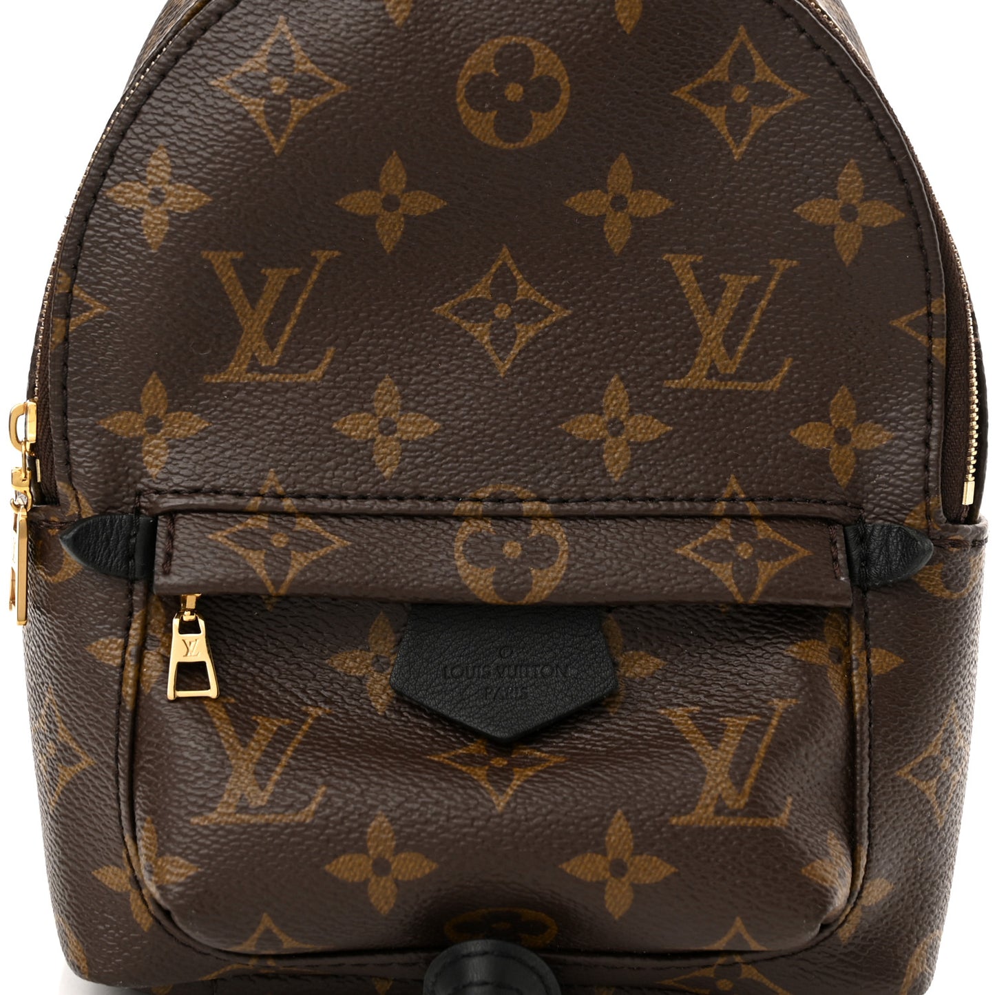 Monogram Palm Springs Backpack Mini