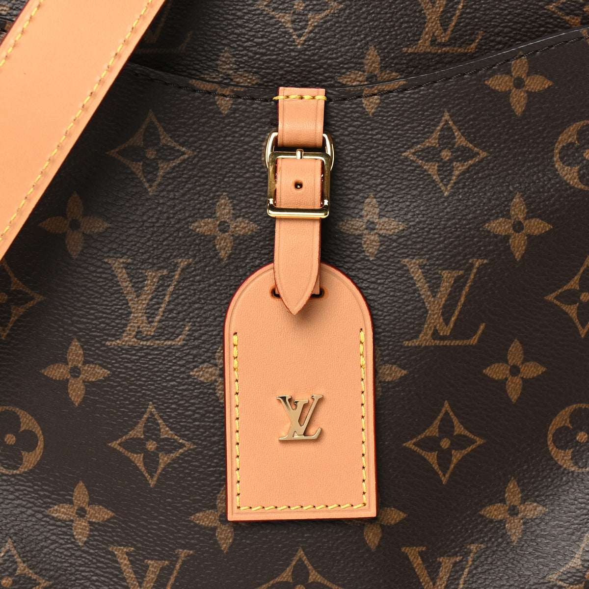 Louis Vuitton Monogram Odeon PM Natural 7 of 9