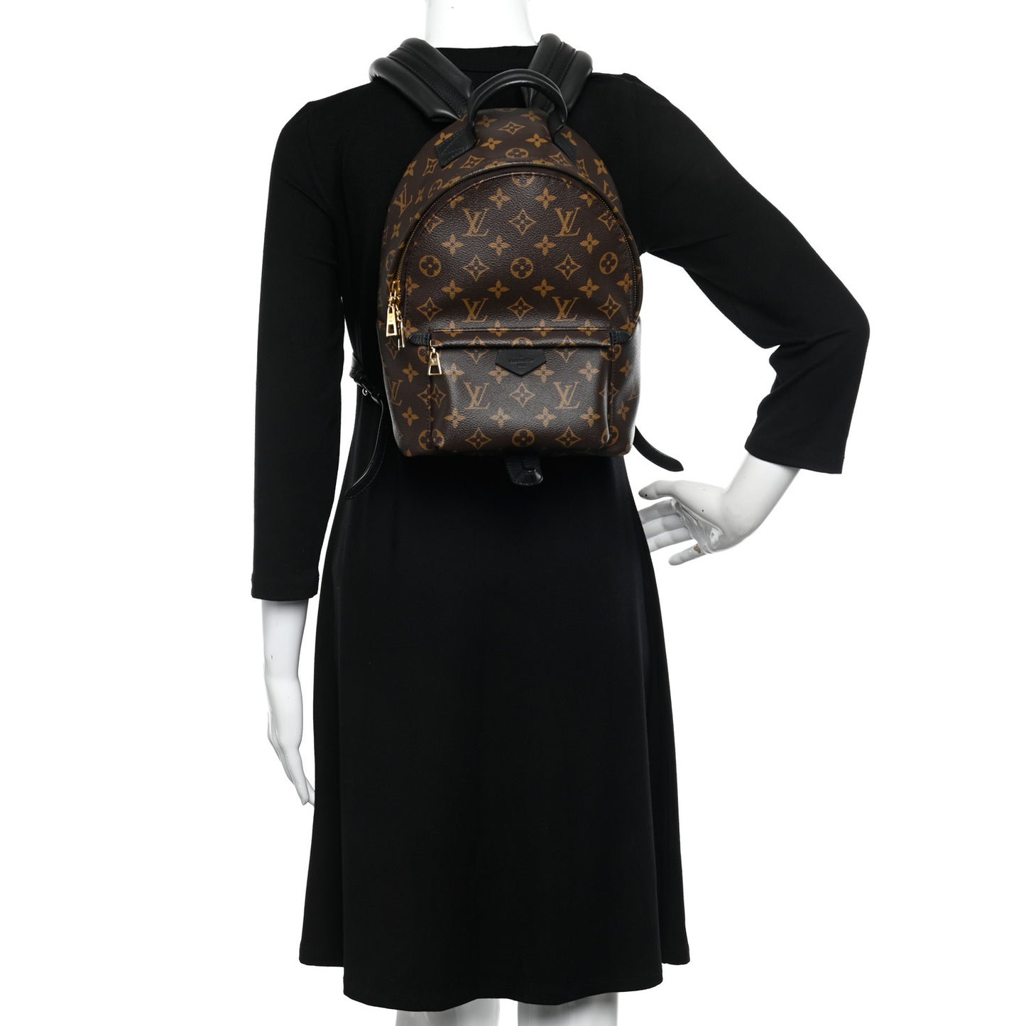 Monogram Palm Springs Backpack PM
