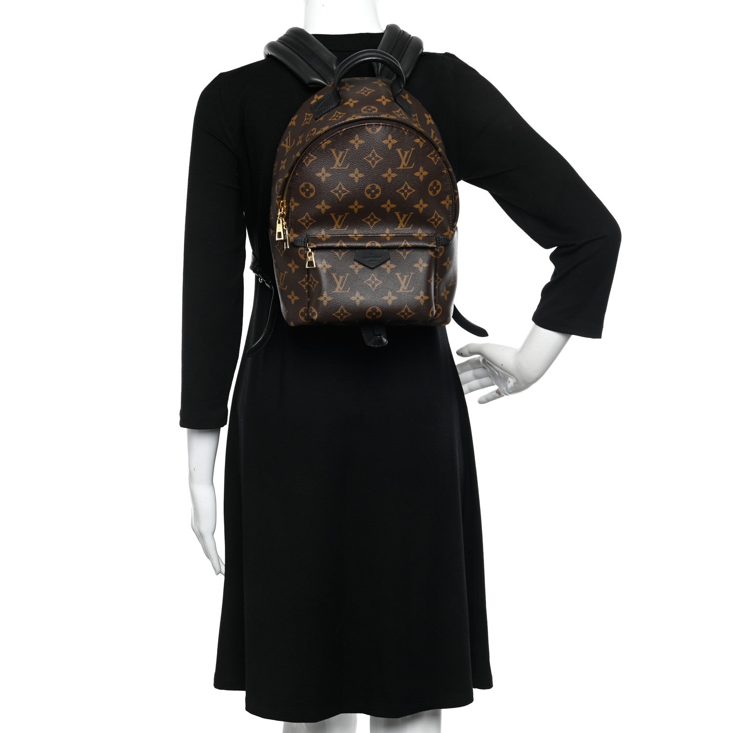 Louis Vuitton Monogram Palm Springs Backpack PM 2 of 9