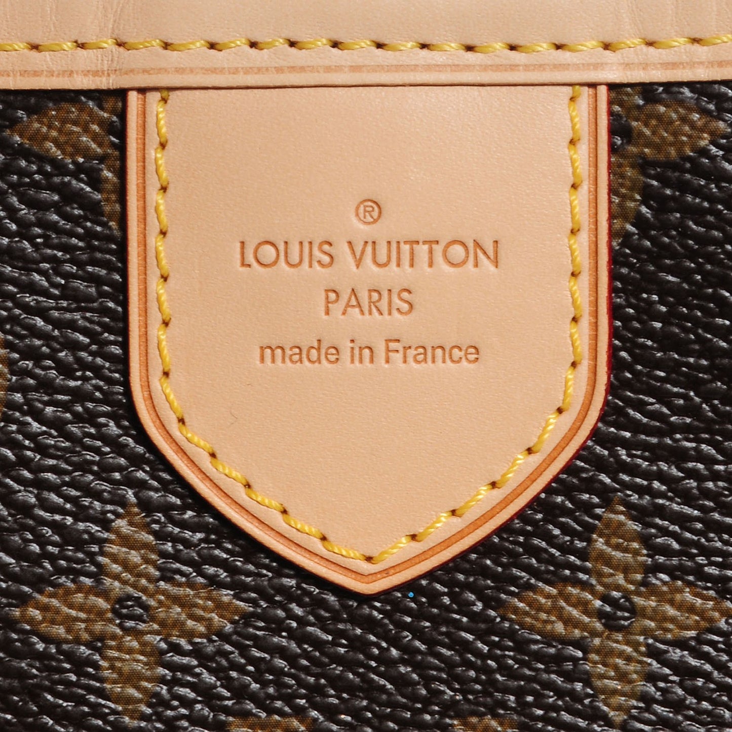 Monogram Delightful MM