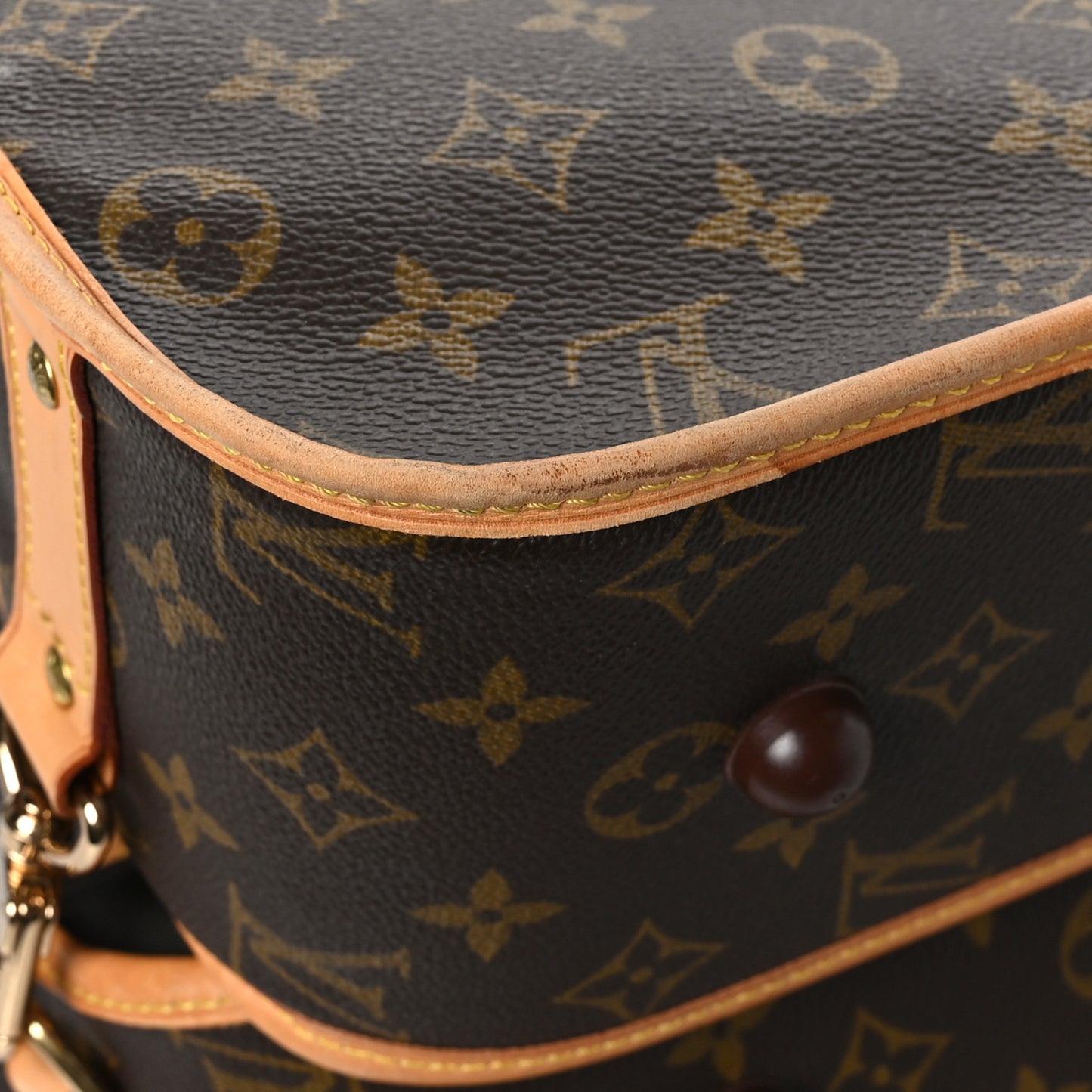 Monogram Garment Bag 5 Hangers