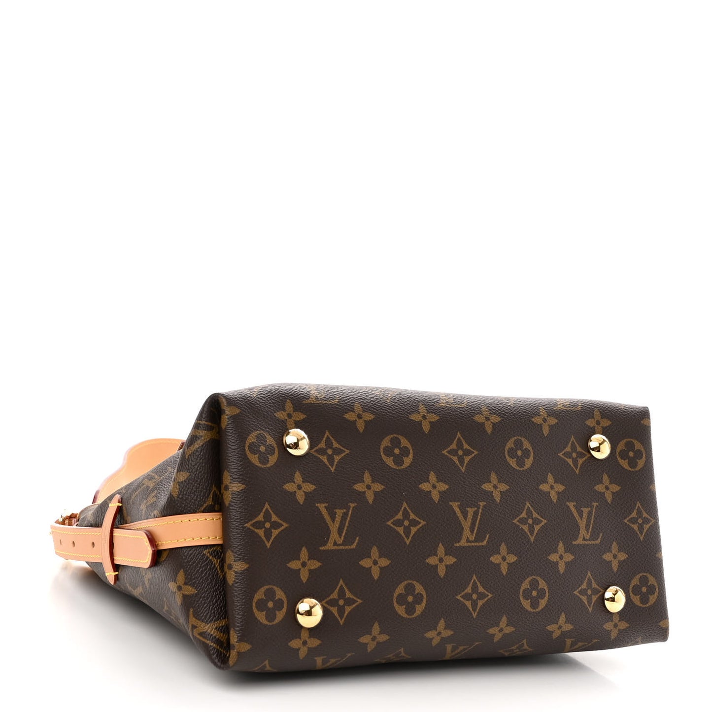 Monogram CarryAll PM