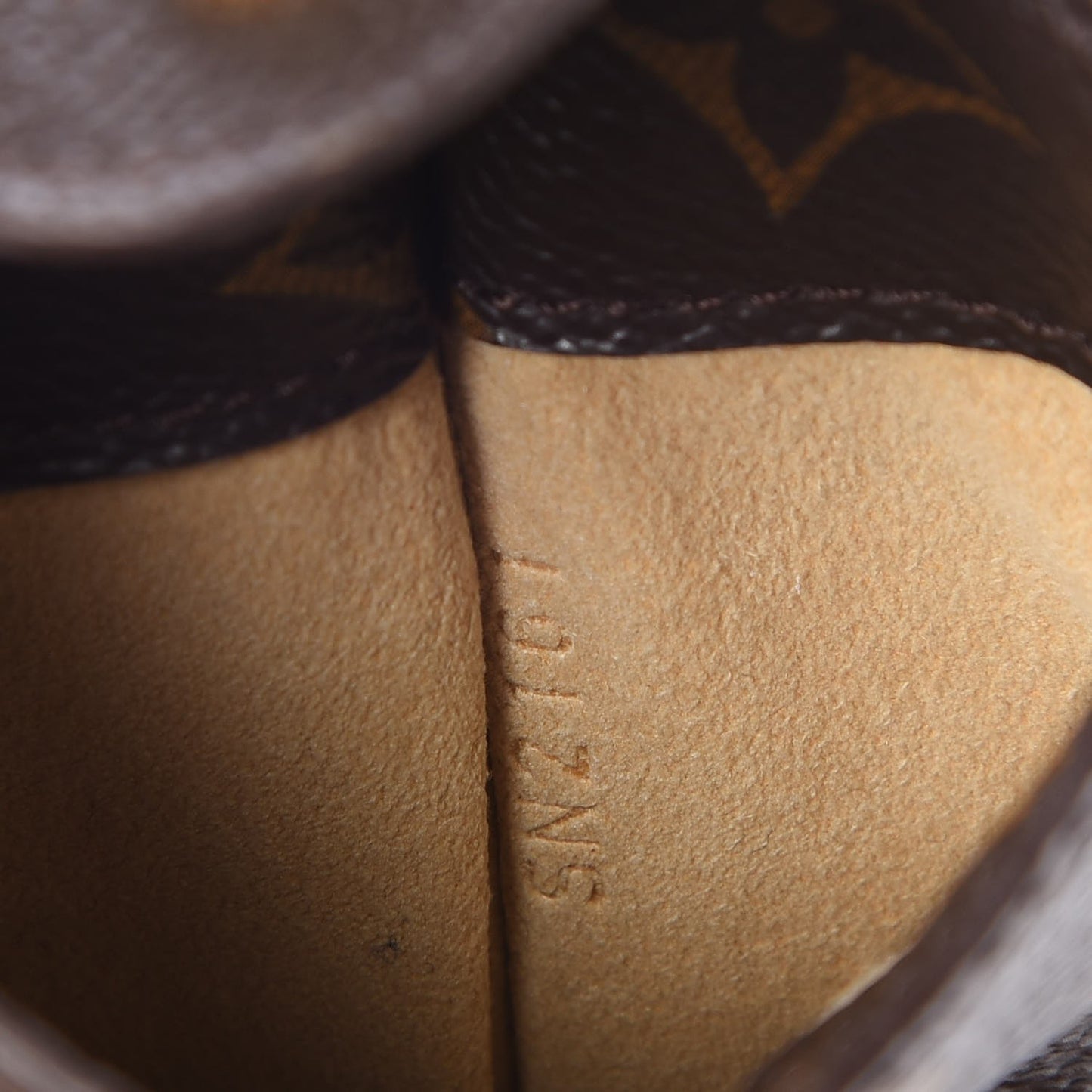 Monogram Sunglasses Case MM
