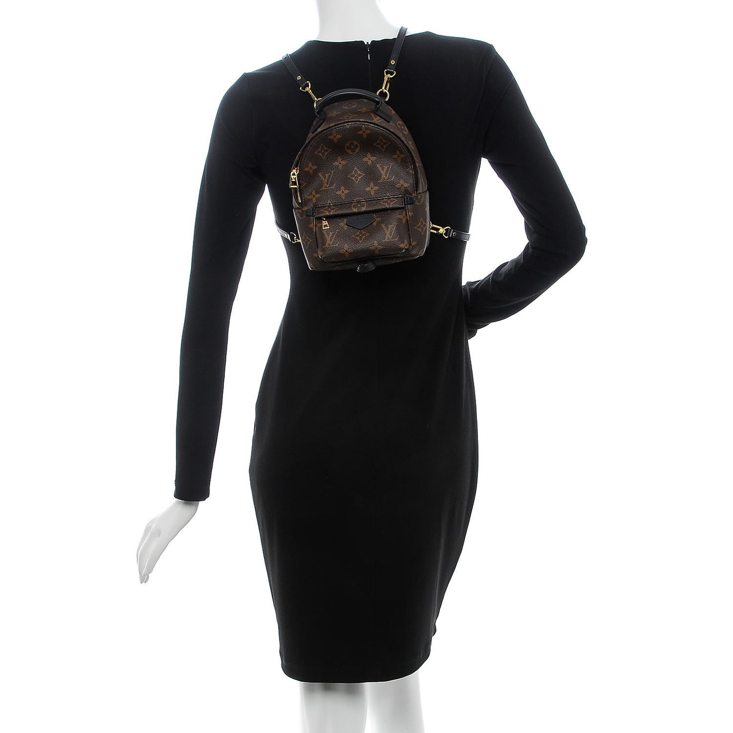 Monogram Palm Springs Backpack Mini