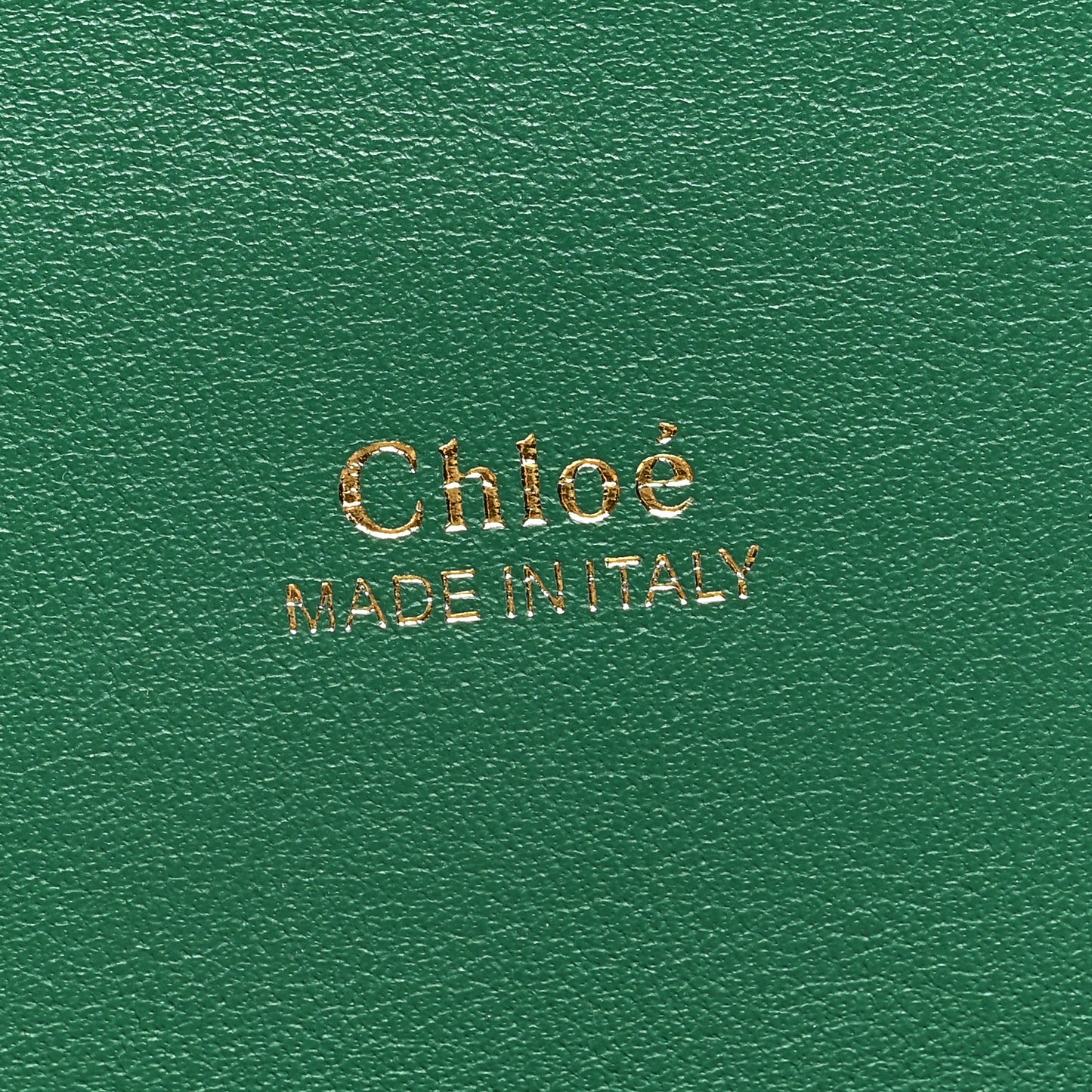 Calfskin Crocodile Embossed Small Aby Lock Woodsy Green