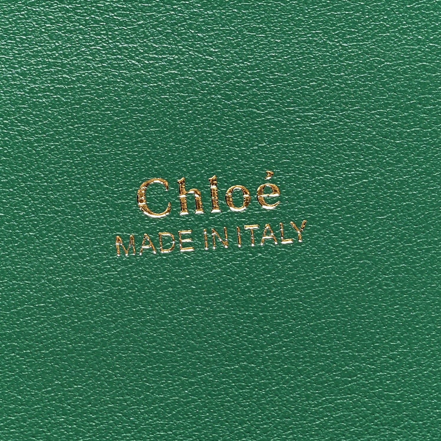 Chloe Calfskin Crocodile Embossed Small Aby Lock Woodsy Green 6 of 8