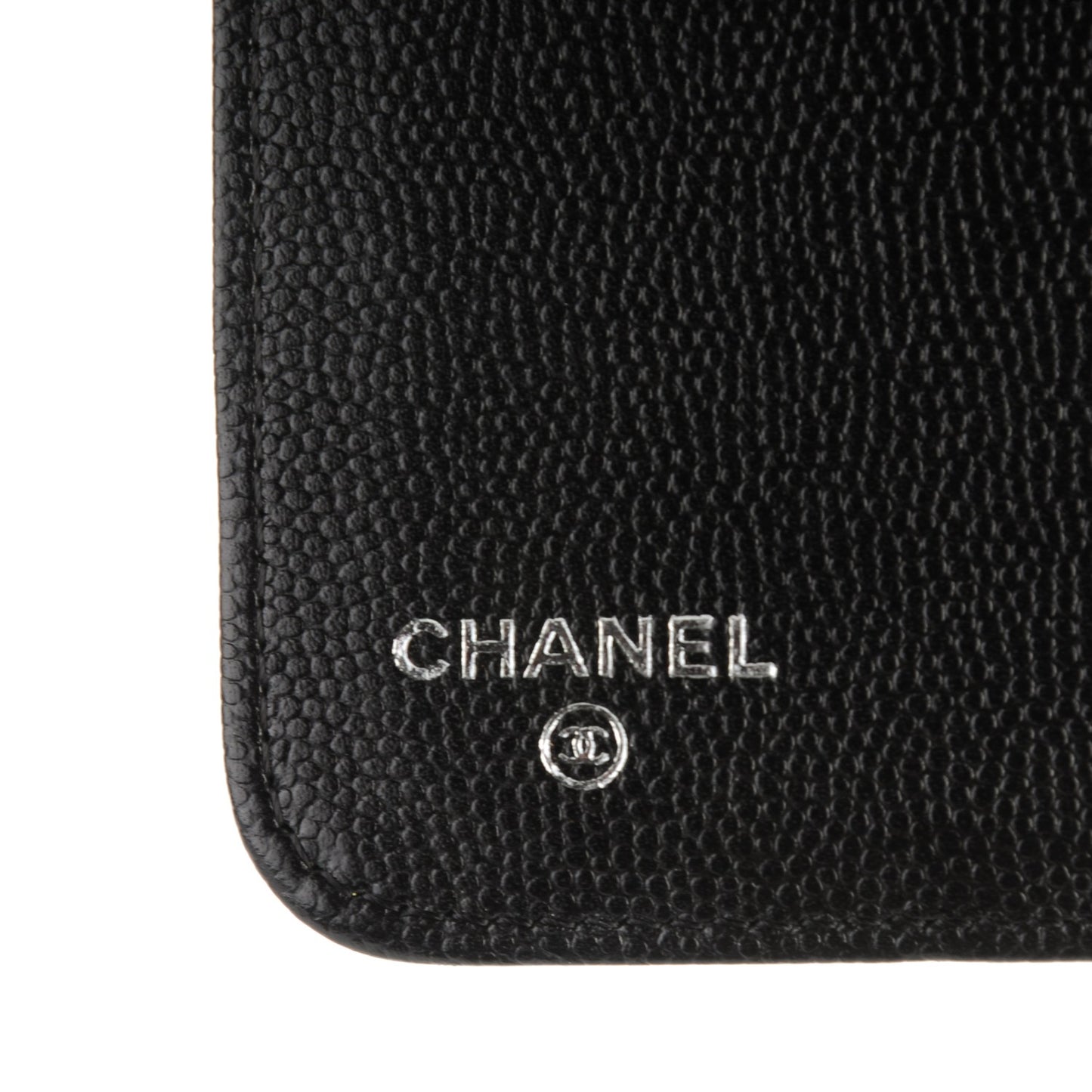 Caviar Sevruga iPad Case Black