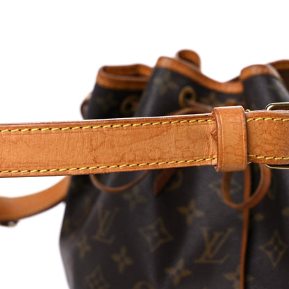 Louis Vuitton Monogram Petit Noe 25 of 25