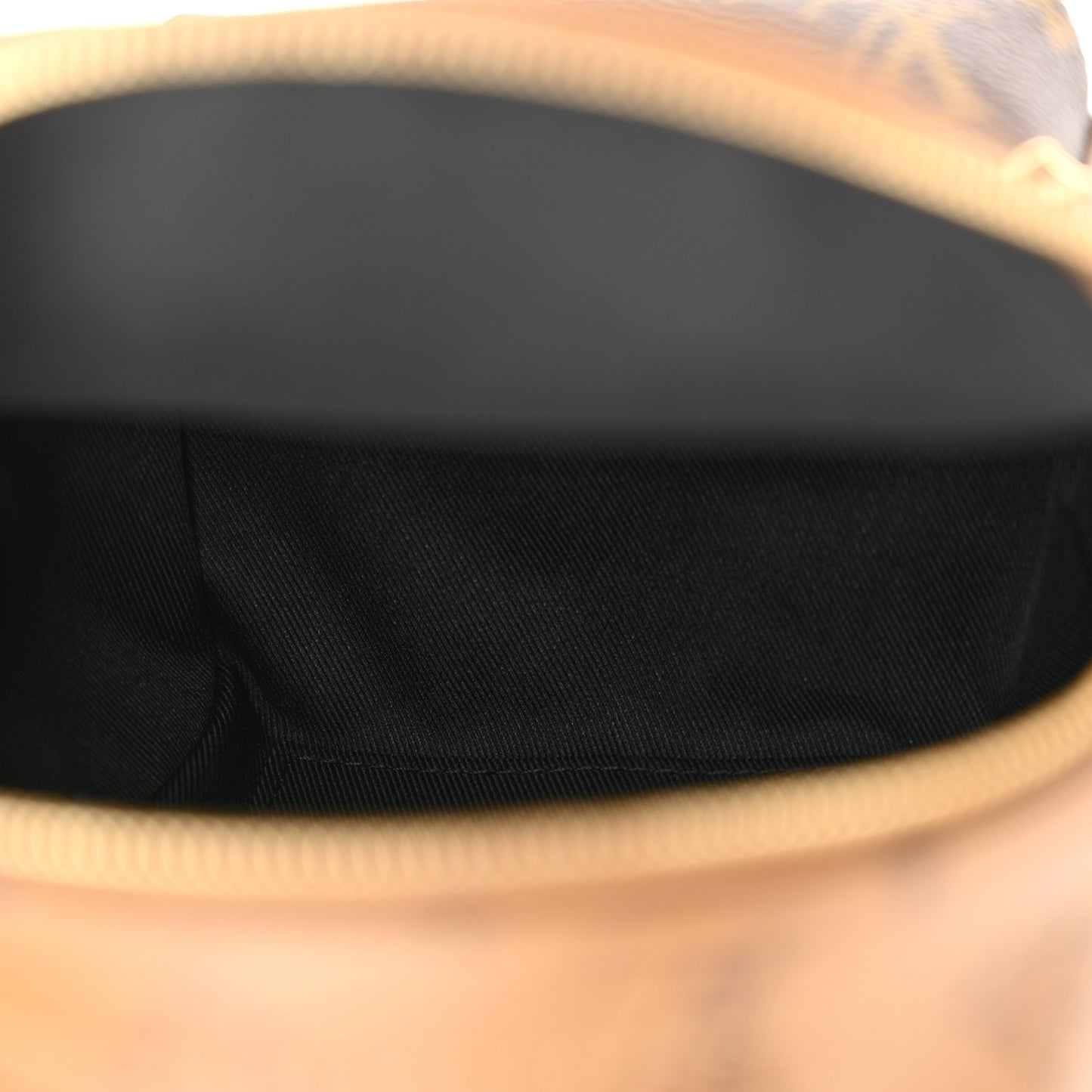 Reverse Monogram Palm Springs Backpack Mini