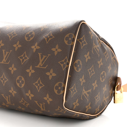 Louis Vuitton Monogram Speedy 25 9 of 10