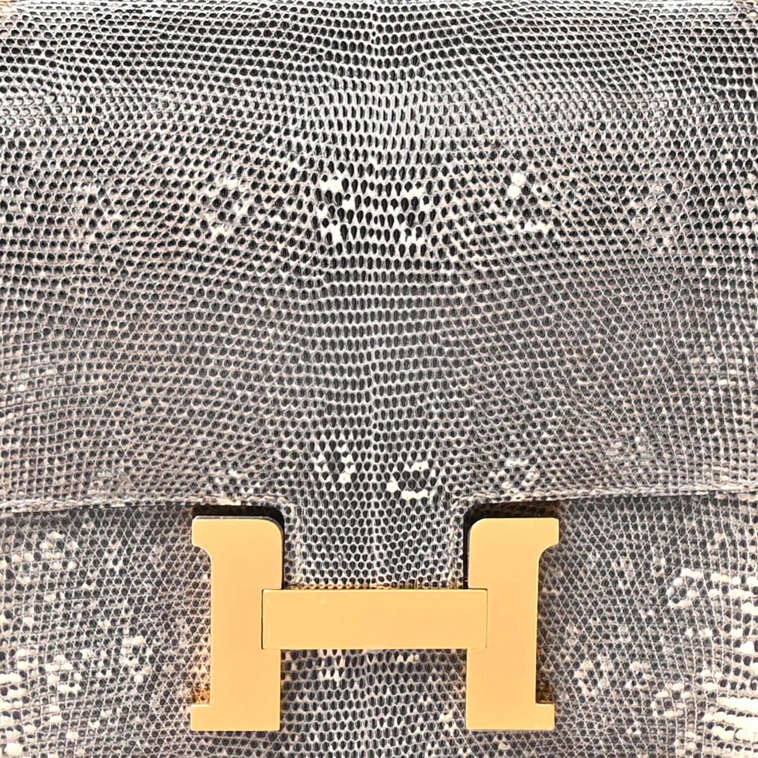 Hermes Lizard Constance 18 Ombre 10 of 13