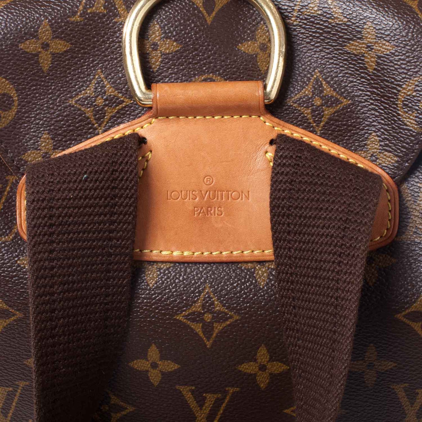 Monogram Montsouris GM Backpack