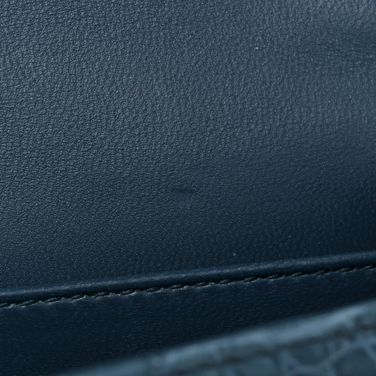 Alligator Lady Dior Pouch Blue