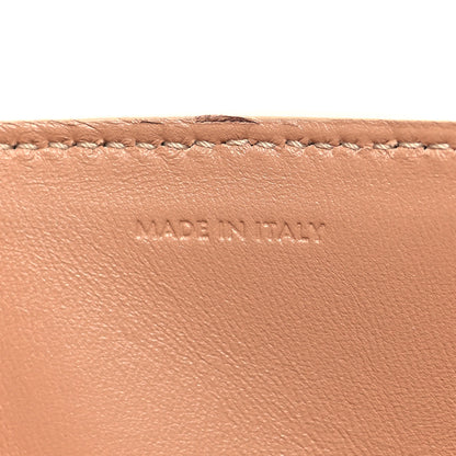 Celine Natural Calfskin Triomphe Strap Bag Nude 8 of 11