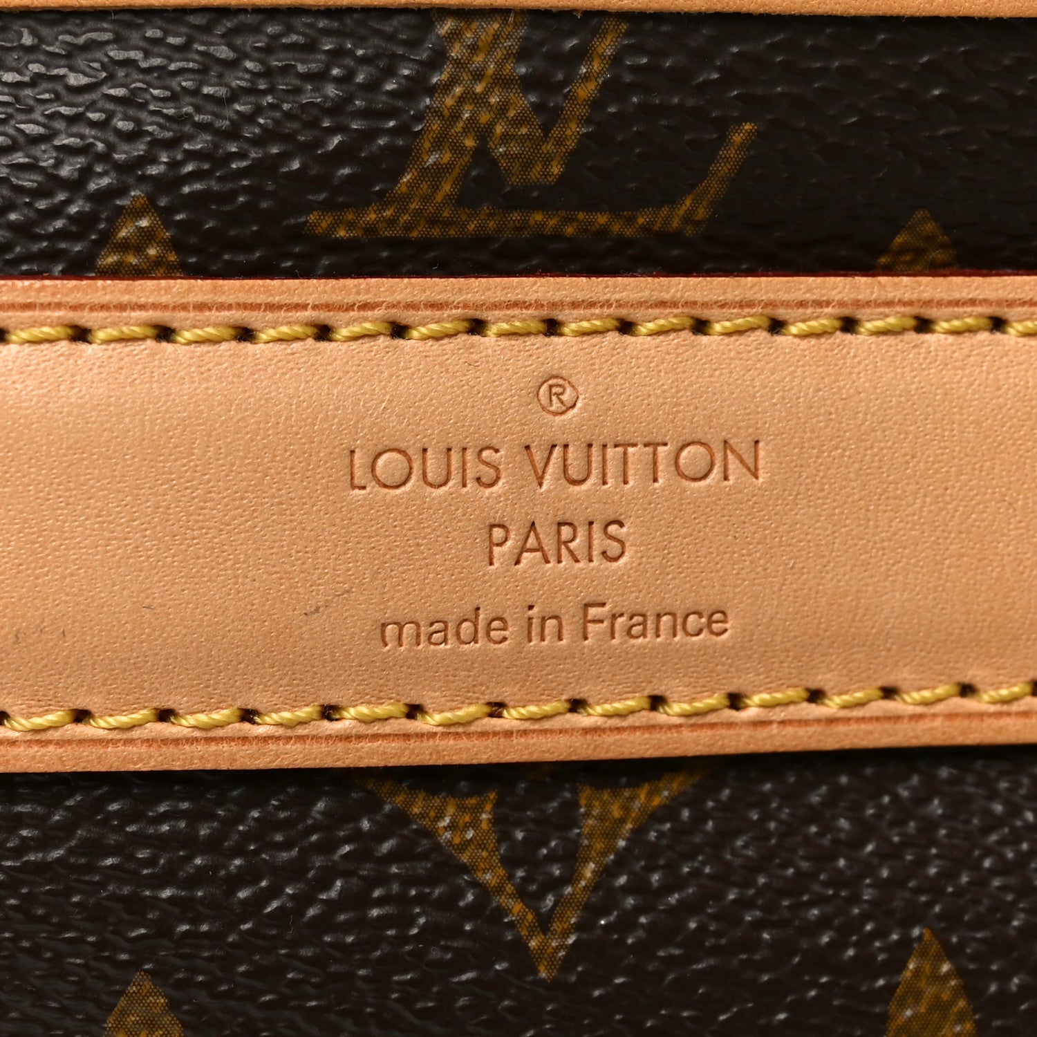 Louis Vuitton Monogram Dog Carrier 50 5 of 8