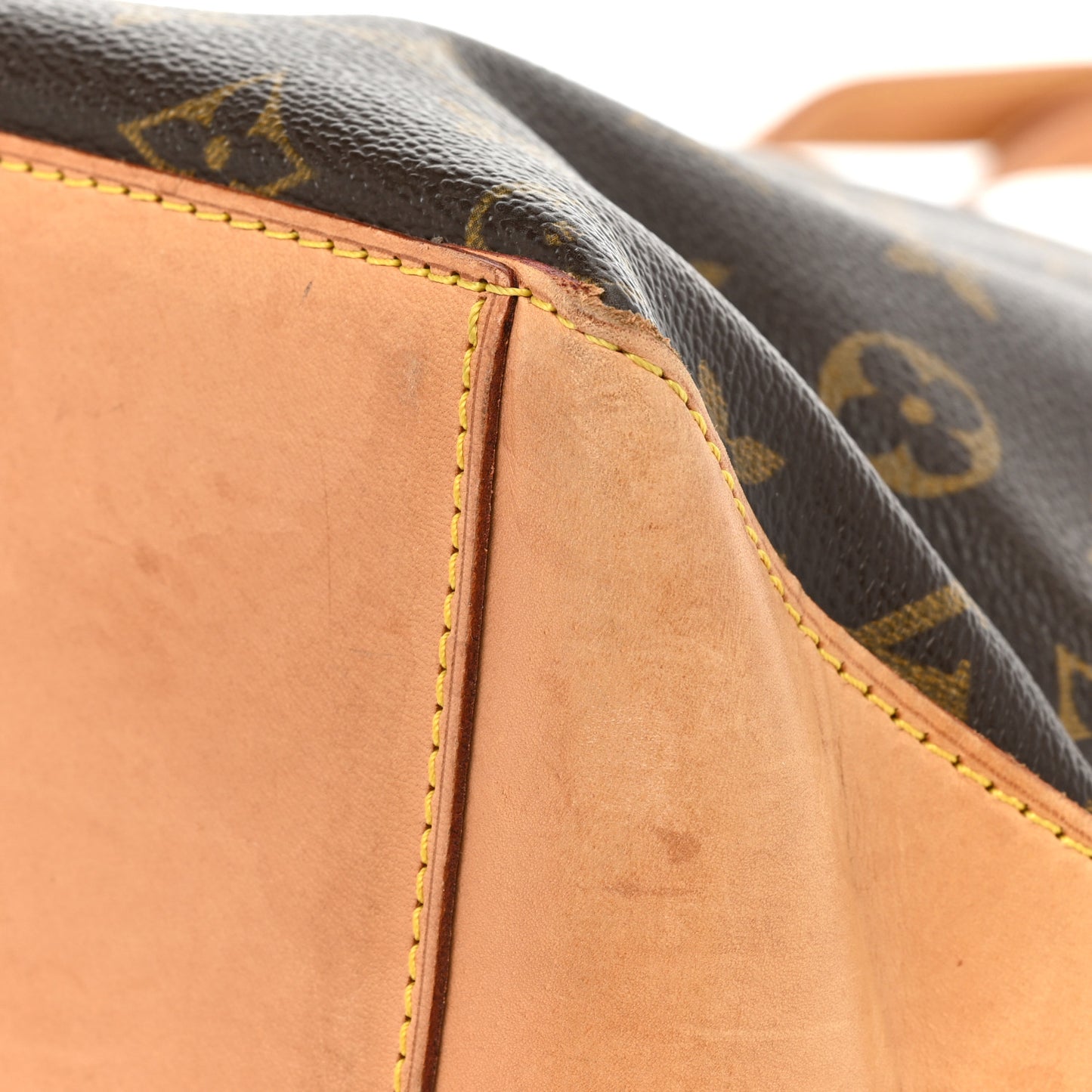 Monogram Cabas Mezzo
