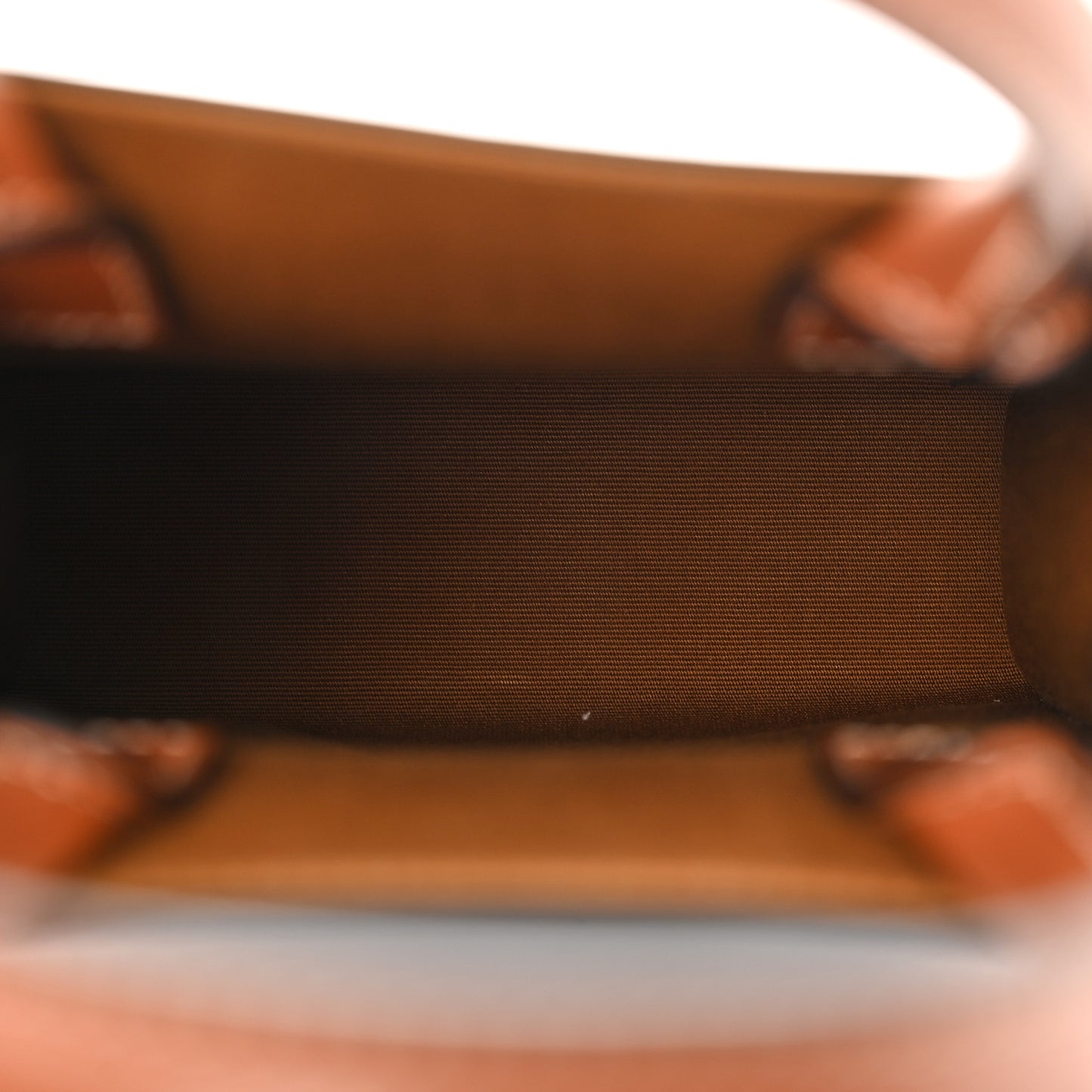 Triomphe Canvas Calfskin Mini Vertical Cabas Tan