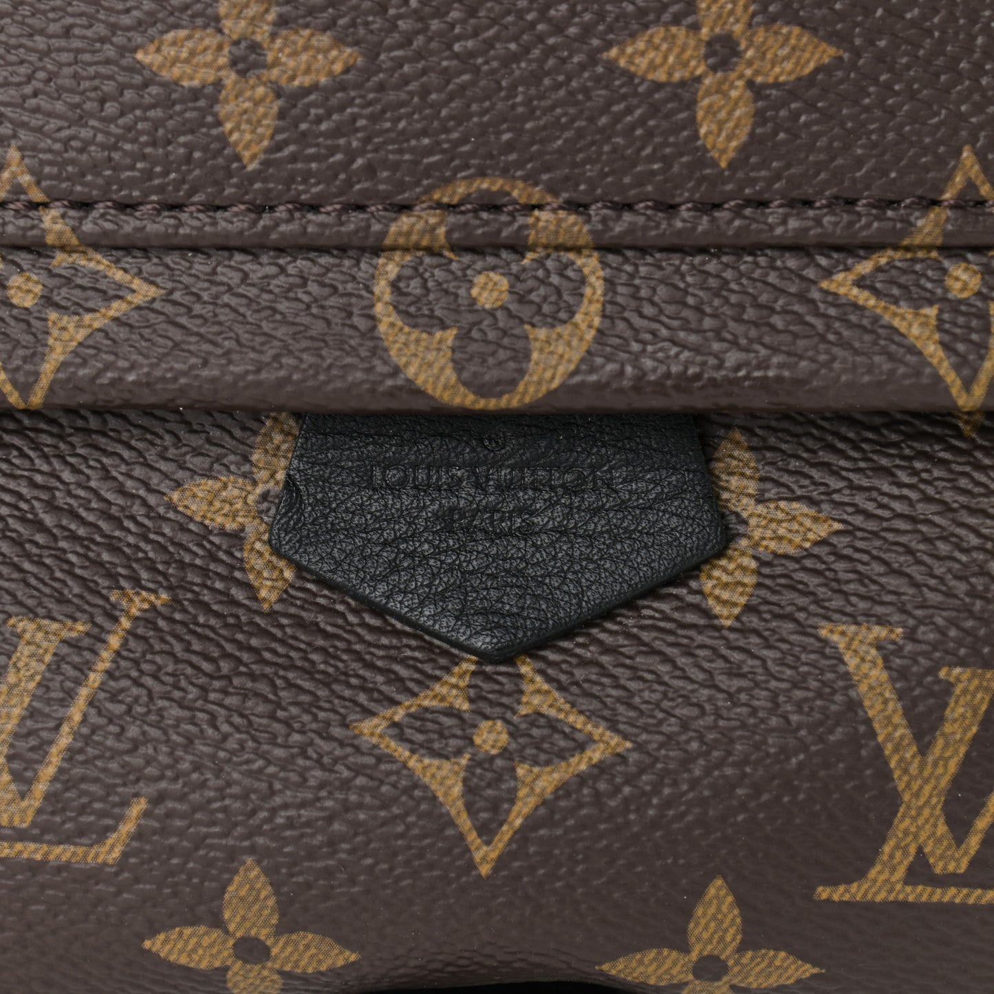 Monogram Palm Springs Backpack Mini