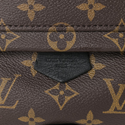 Louis Vuitton Monogram Palm Springs Backpack Mini 9 of 11