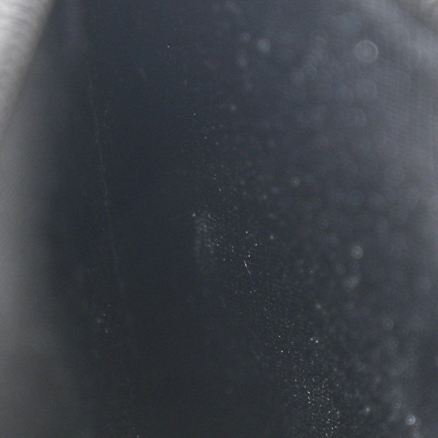 Crumpled Lambskin Studded Paris Dallas Wallet On Chain WOC Black