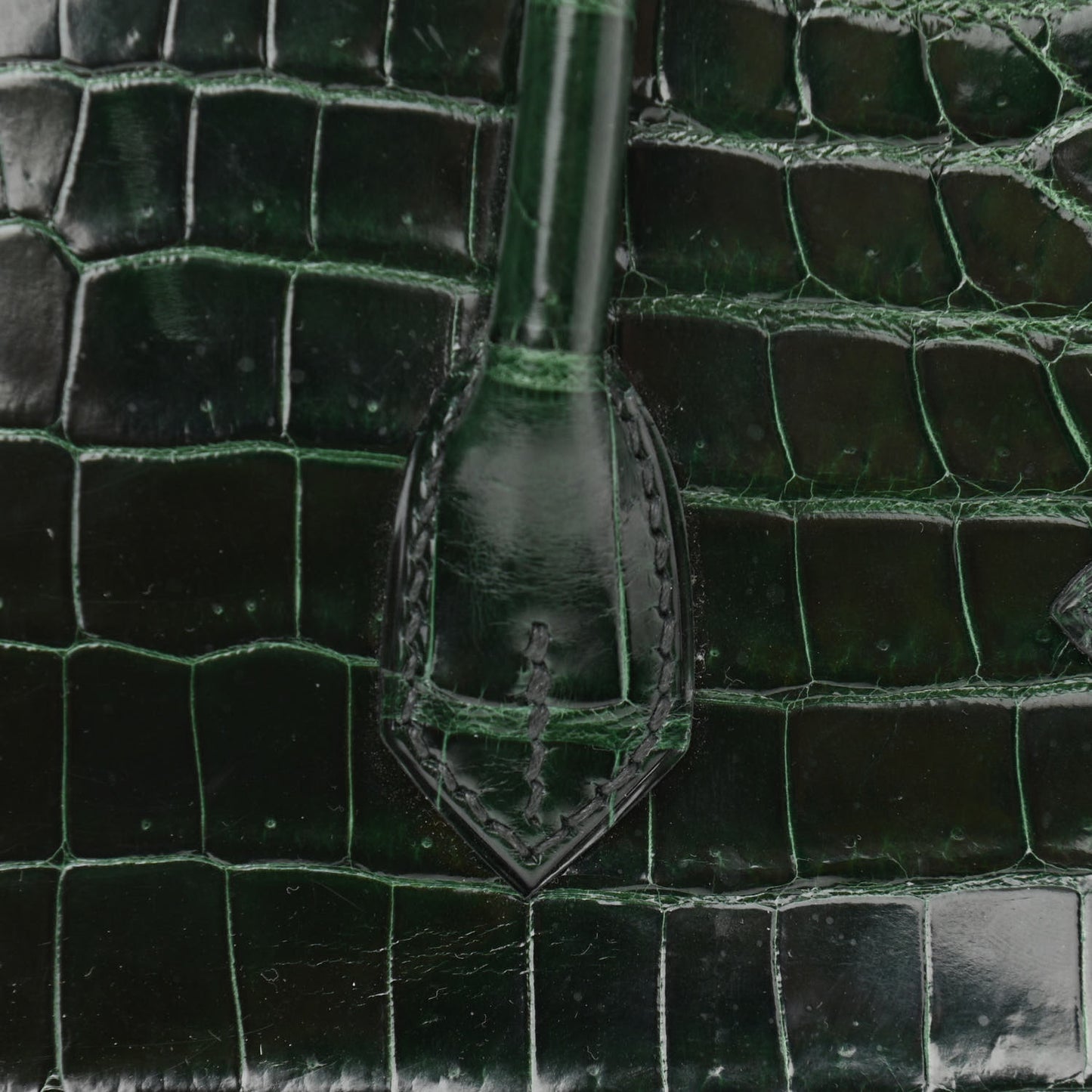 Shiny Niloticus Crocodile Birkin 25 Vert Fonce