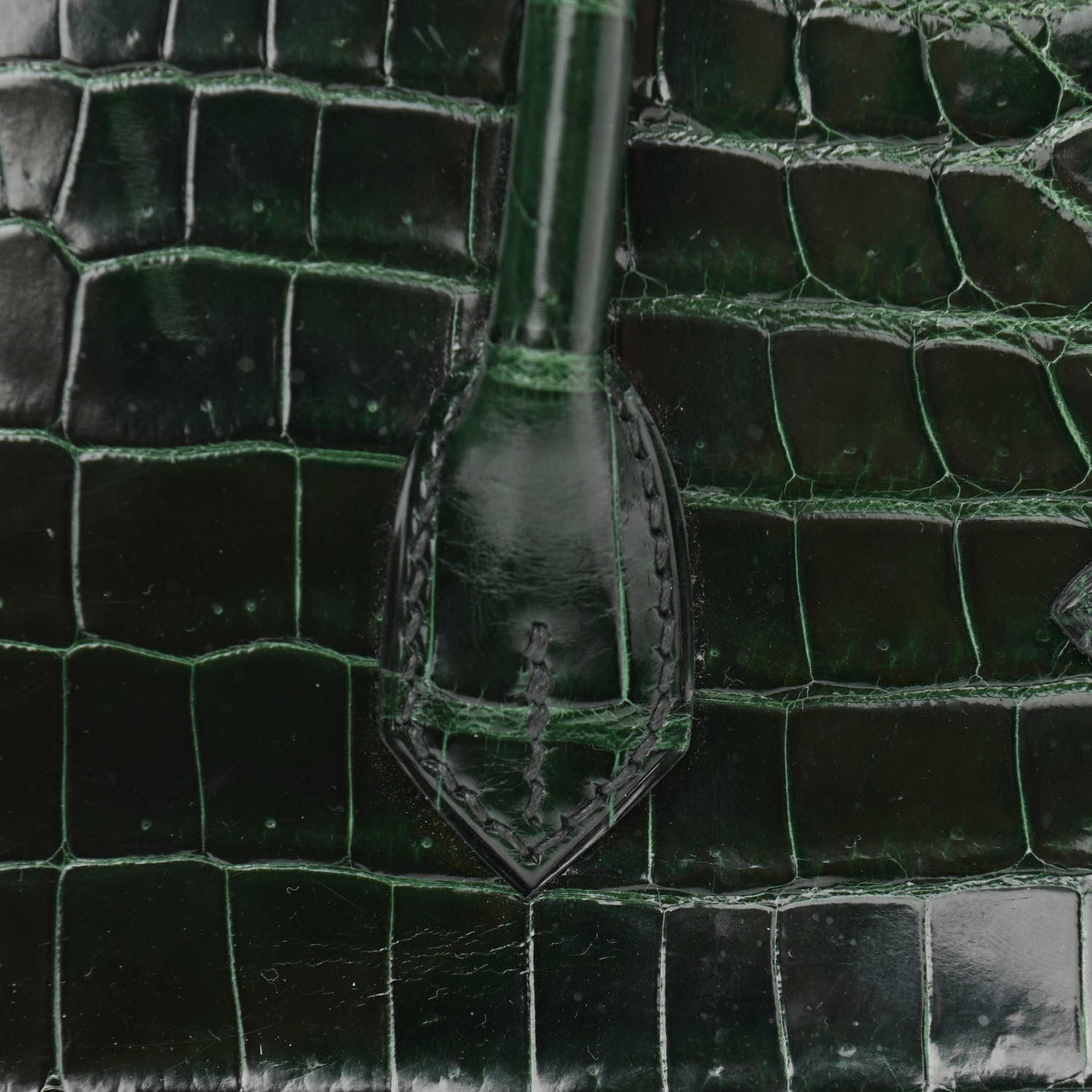 Hermes Shiny Niloticus Crocodile Birkin 25 Vert Fonce 9 of 32