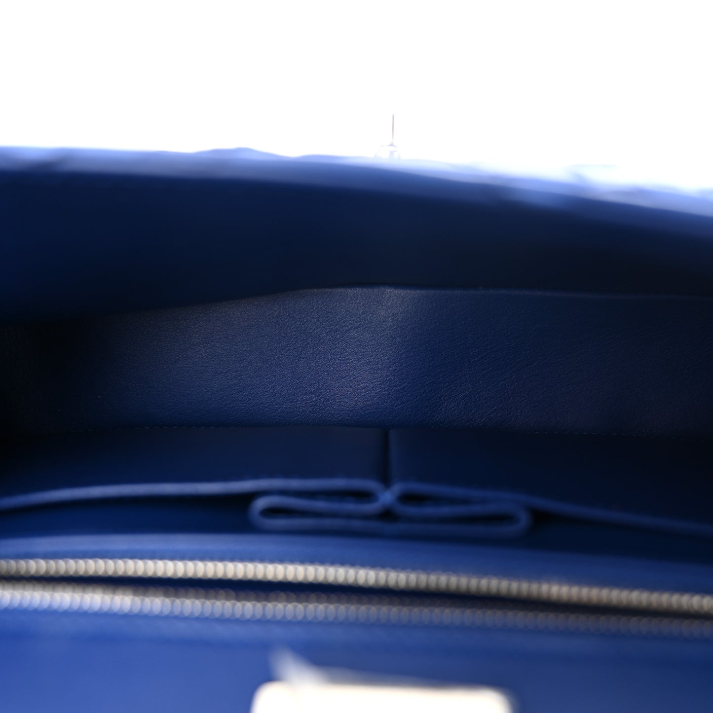 Snakeskin Medium Double Flap Blue