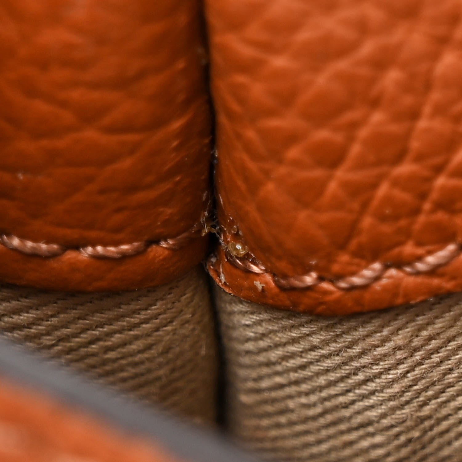 Chloe Calfskin Medium Marcie Round Crossbody Bag Tan 17 of 19