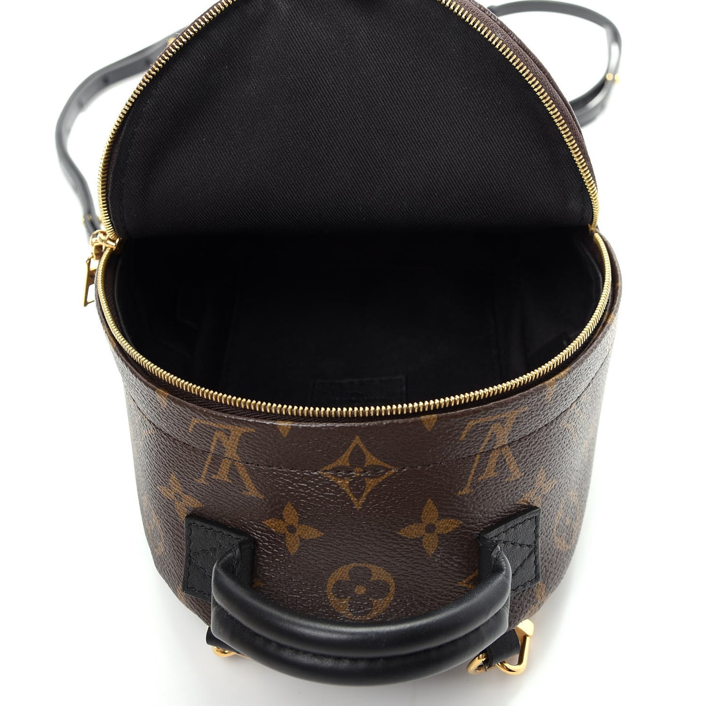 Monogram Palm Springs Backpack Mini