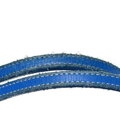 Goyard Goyardine Saint Louis PM Sky Blue 10 of 11