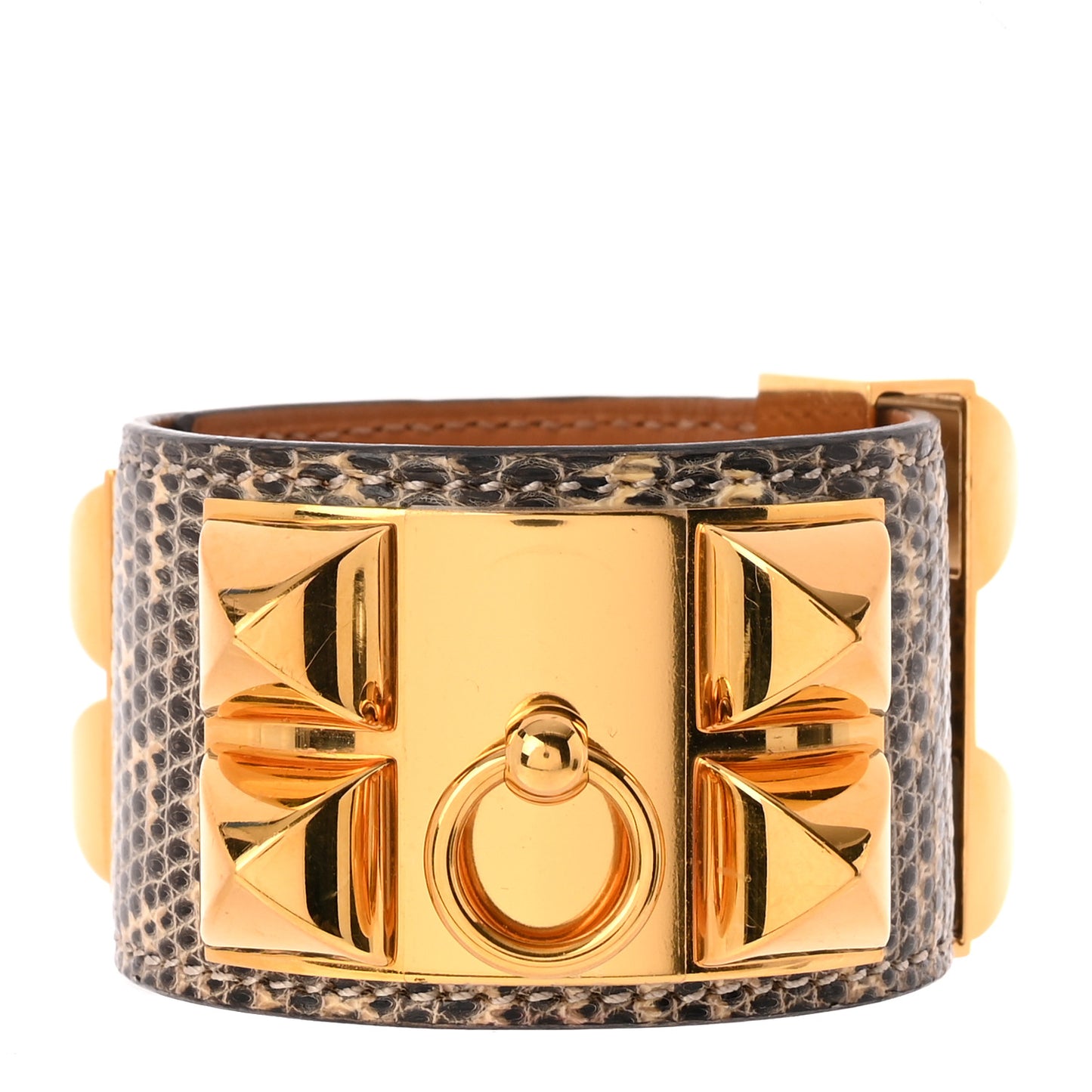 Lizard Collier De Chien CDC Bracelet T2 Ombre