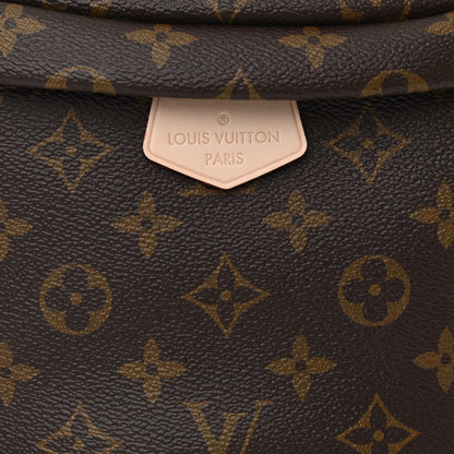 Louis Vuitton Monogram Bumbag 7 of 10