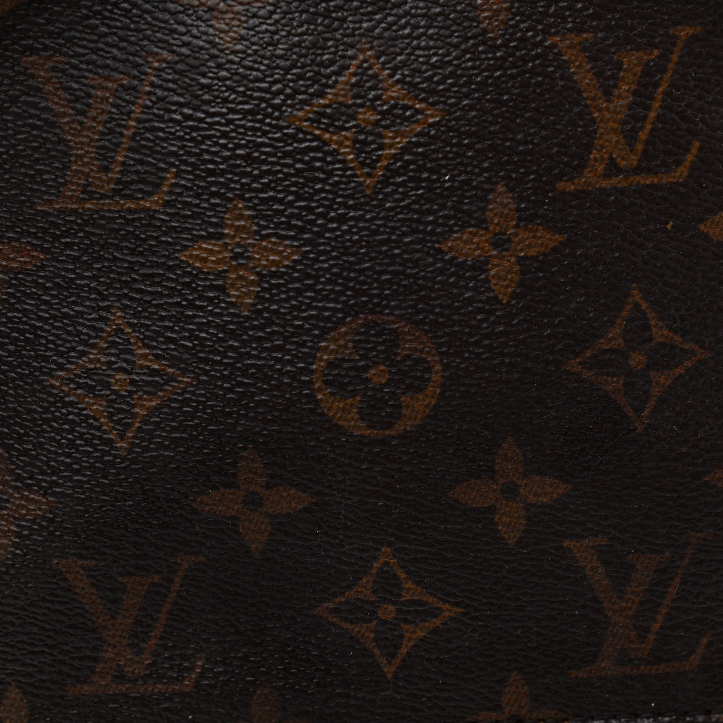 Monogram Palm Springs Backpack PM