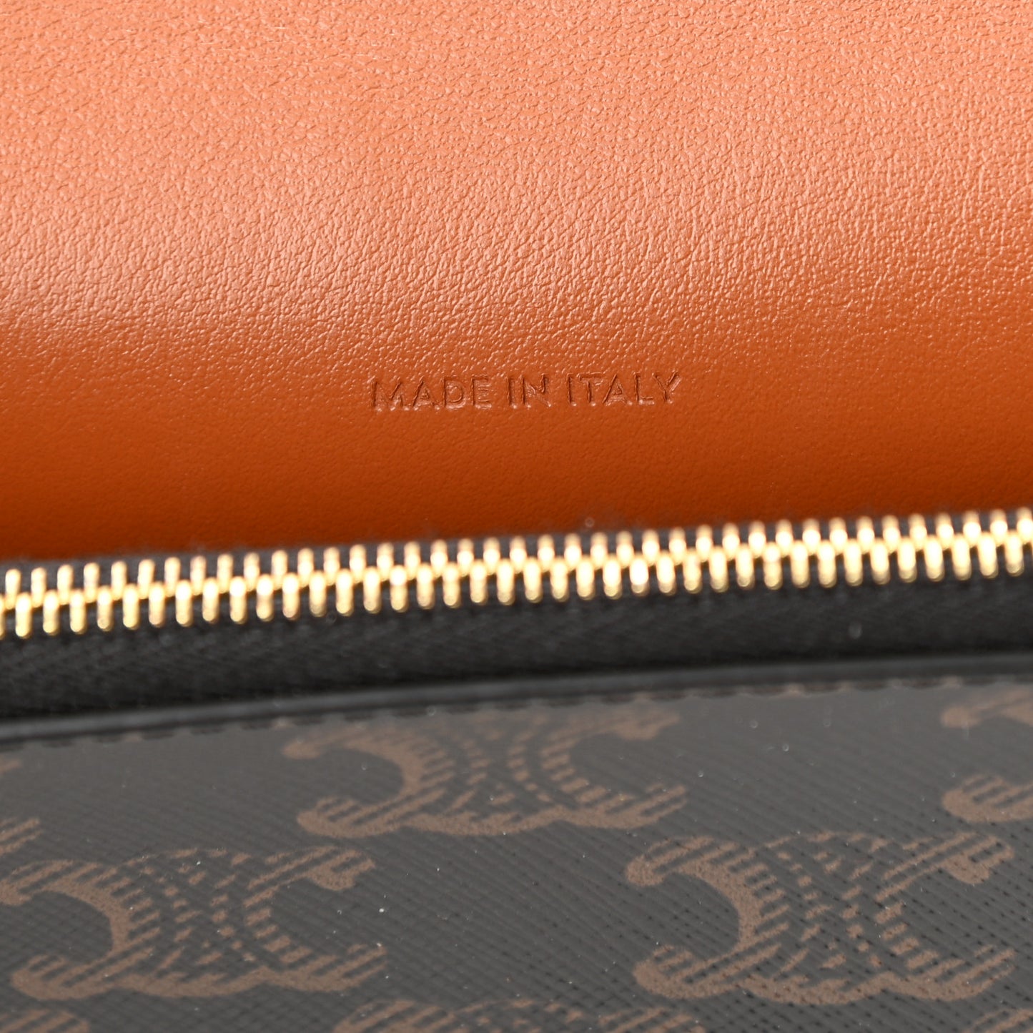 Triomphe Canvas Lambskin Wallet On Strap Tan