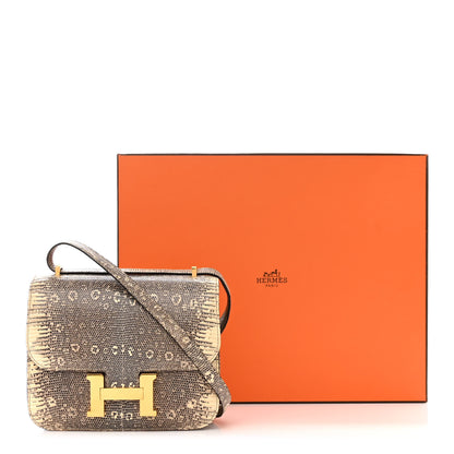 Hermes Lizard Constance 18 Ombre 11 of 11