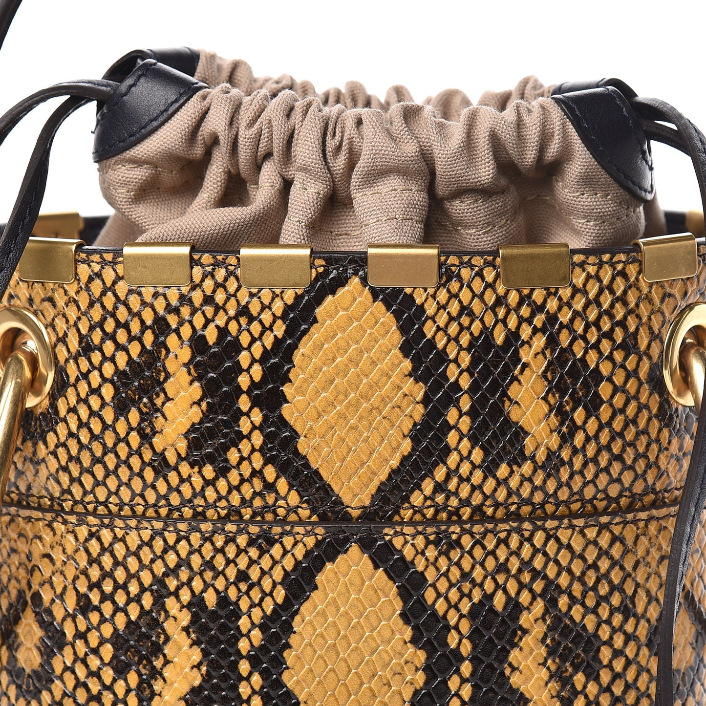 Python Embossed Calfskin Mini Roy Bucket Bag September Sun