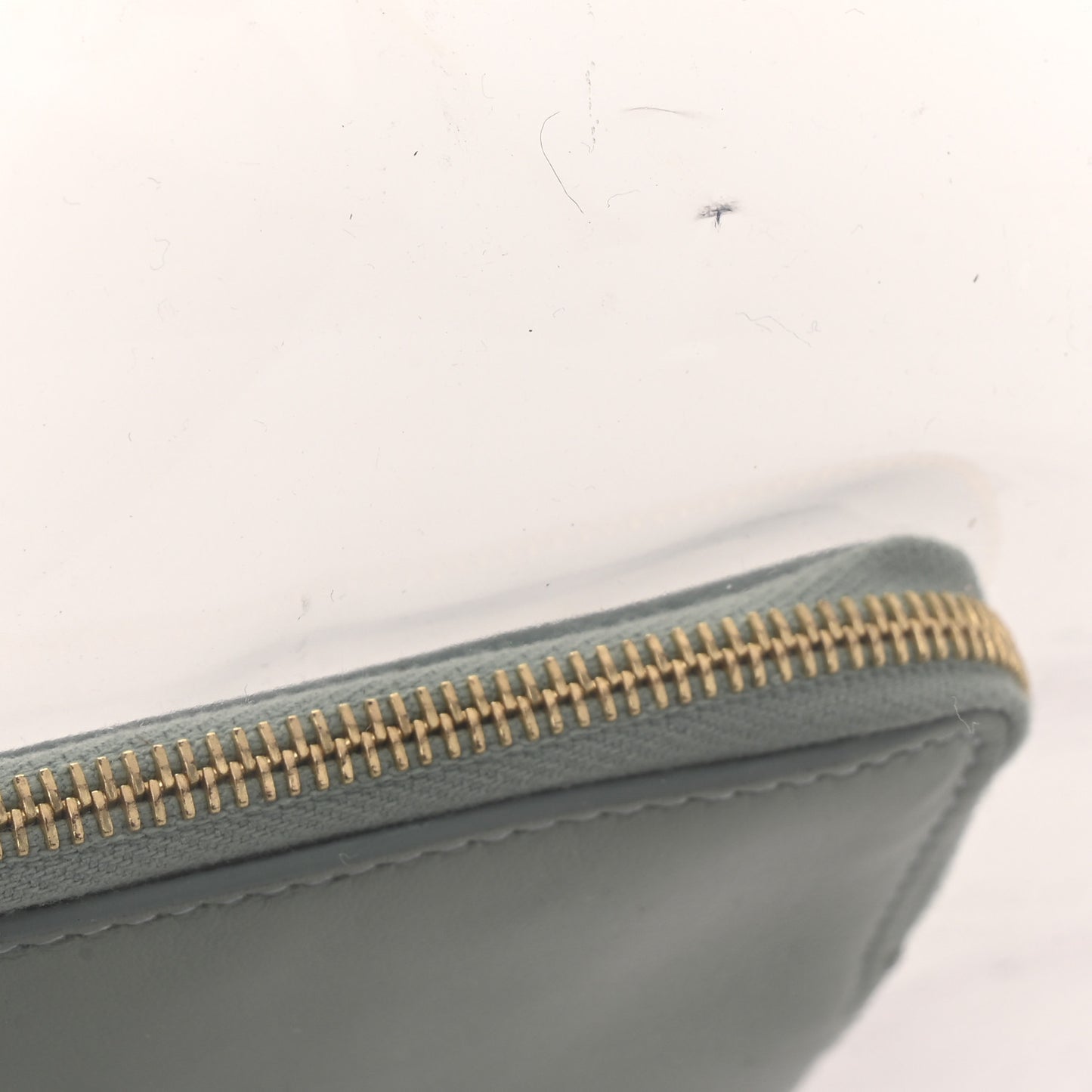 Plastic Bag with Cloudy Lambskin Solo Zip Pouch Clutch Celadon
