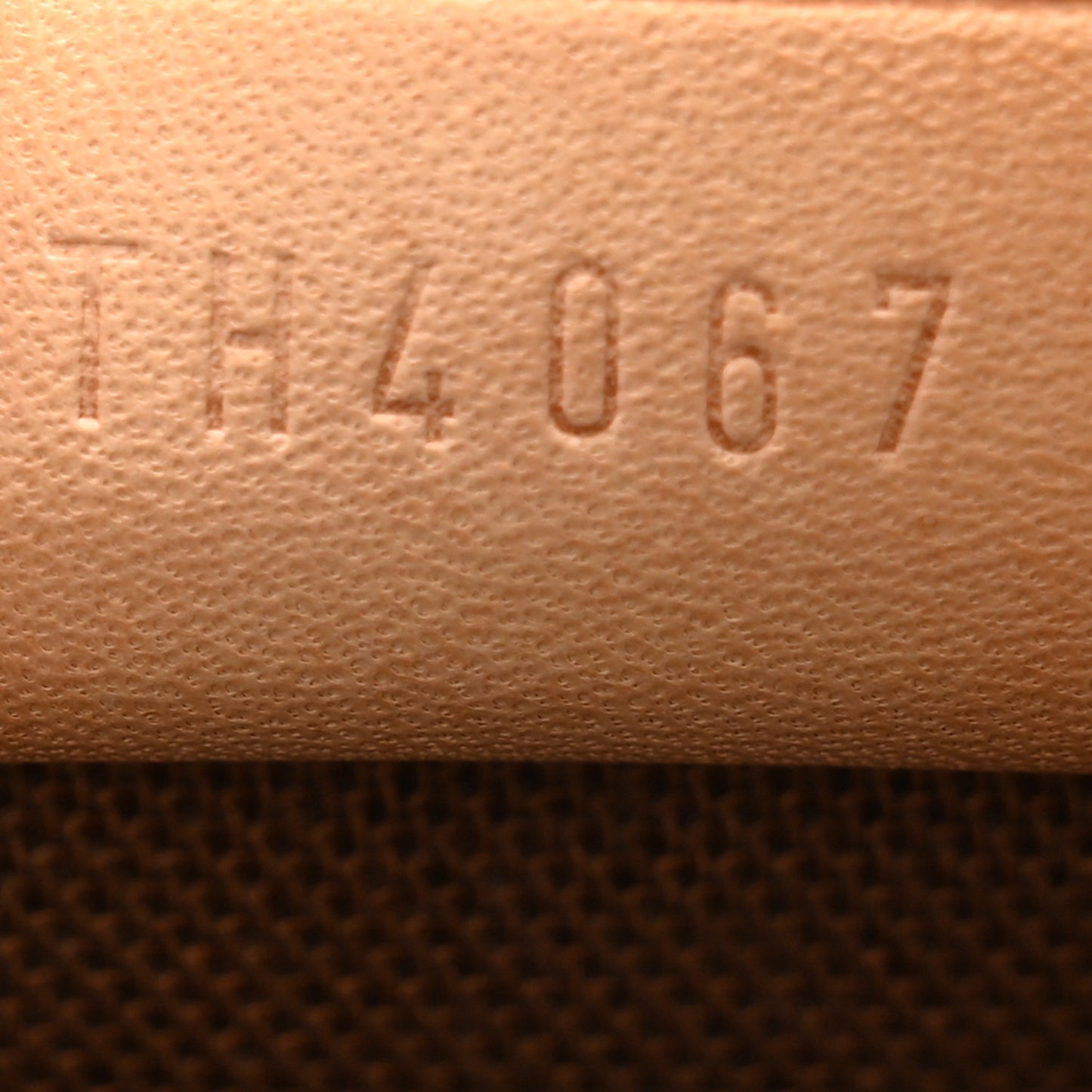 Monogram Mini Sac HL Speedy