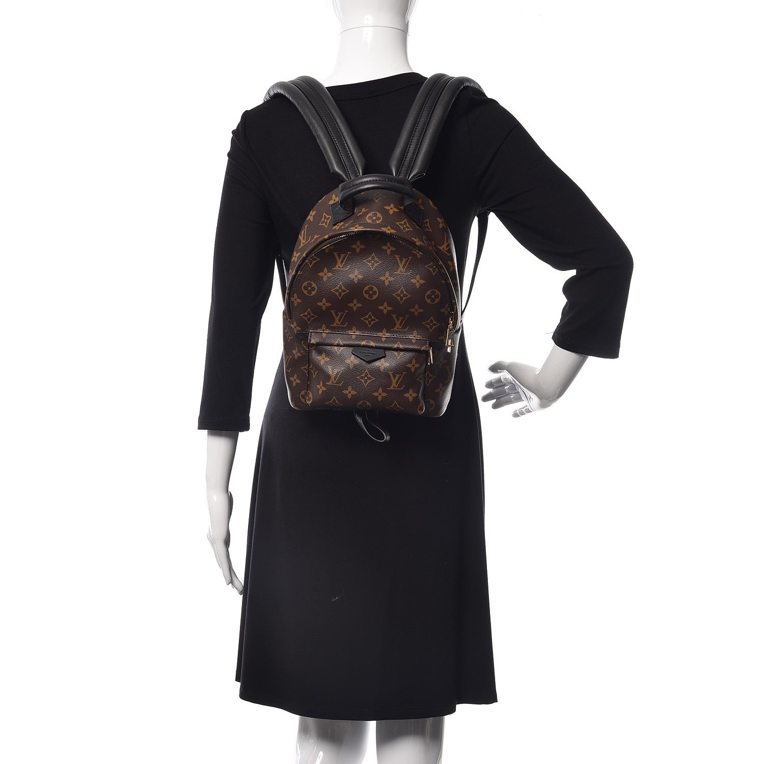 Louis Vuitton Monogram Palm Springs Backpack PM 2 of 9