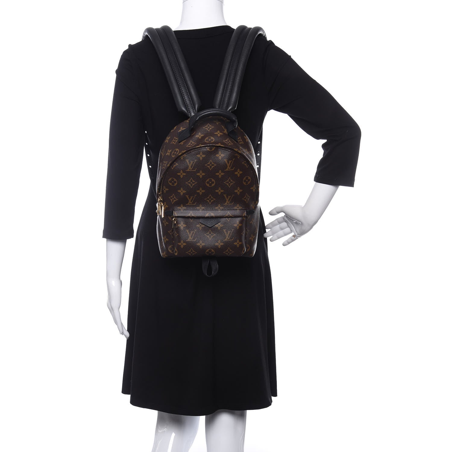 Louis Vuitton Monogram Palm Springs Backpack PM 2 of 10